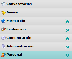 Opciones de la convocatoria